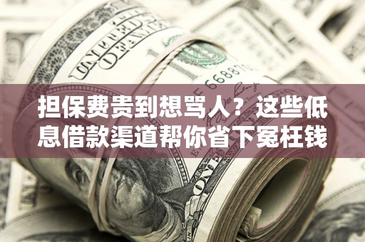 北京担保费贵到想骂人？这些低息借款渠道帮你省下冤枉钱