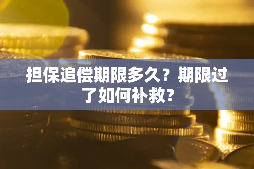 北京担保追偿期限多久？期限过了如何补救？