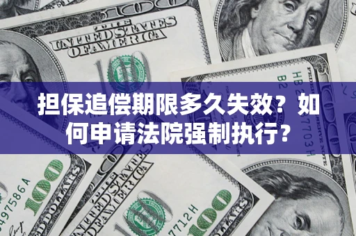 北京担保追偿期限多久失效？如何申请法院强制执行？